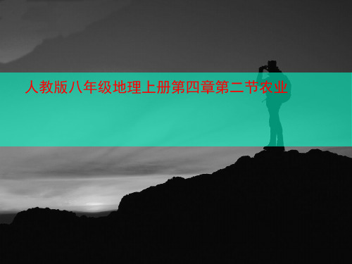 人教版八年级地理上册第四章第二节农业-文档资料