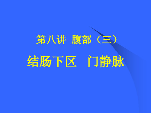 腹部3(局部解剖)