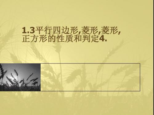 1.3平行四边形,矩形,菱形,正方形的性质和判定4