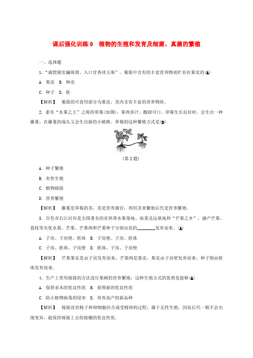 浙江省中考科学 课后强化训练9 植物的生殖和发育及细菌、真菌的繁殖(含解析)