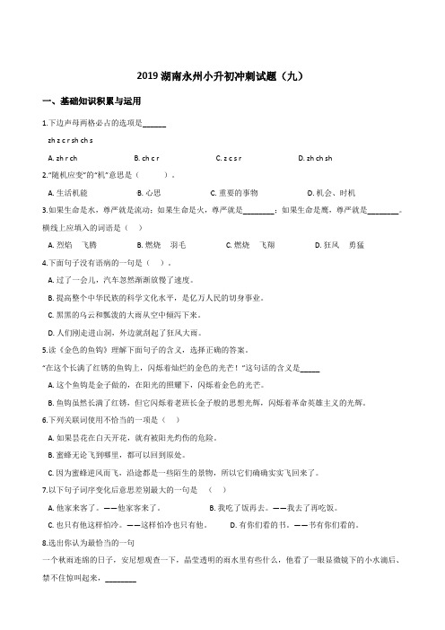 六年级下册语文试题--2019湖南永州小升初冲刺试题(九) 人教新课标 含答案