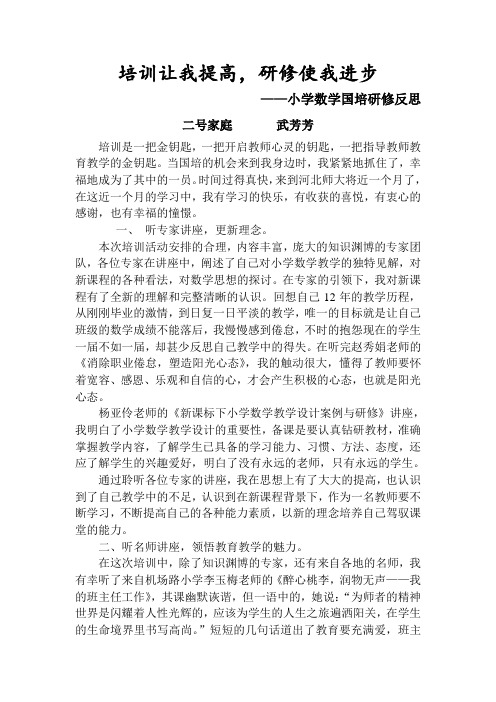 小学数学国培研修反思——武芳芳