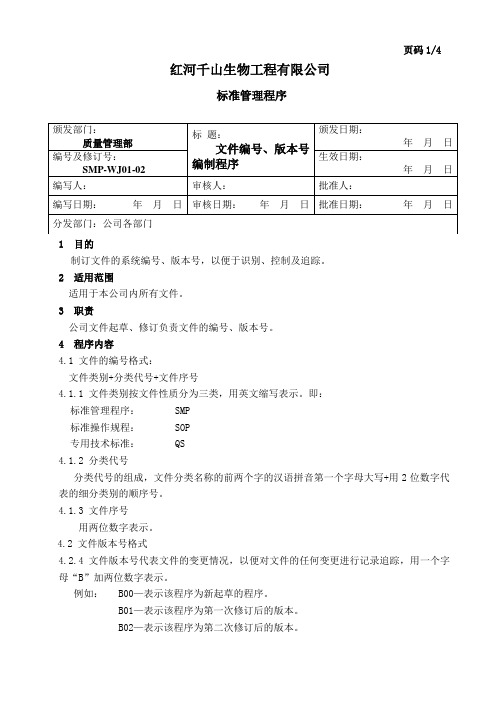 文件编号、版本号编制程序