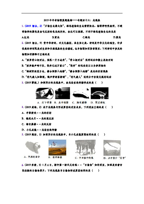 2019年中考物理真题集锦——专题四十六：光现象(word版含答案)