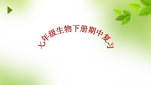 生物七下期中复习课件