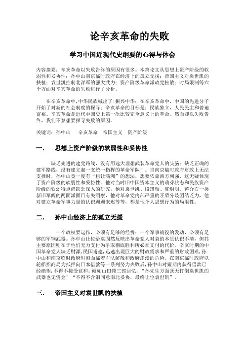 论辛亥革命的成败