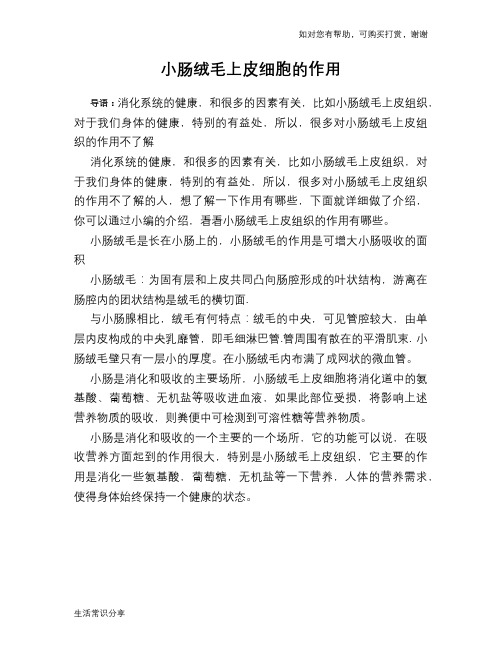 小肠绒毛上皮细胞的作用