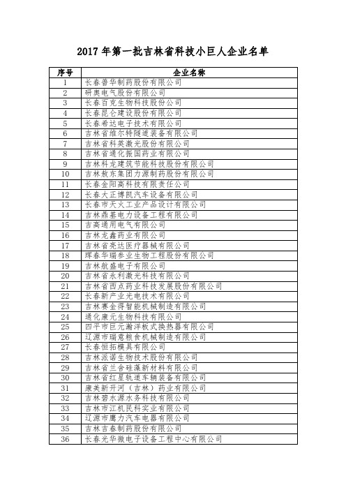 2017年第一批吉林科技小巨人企业名单