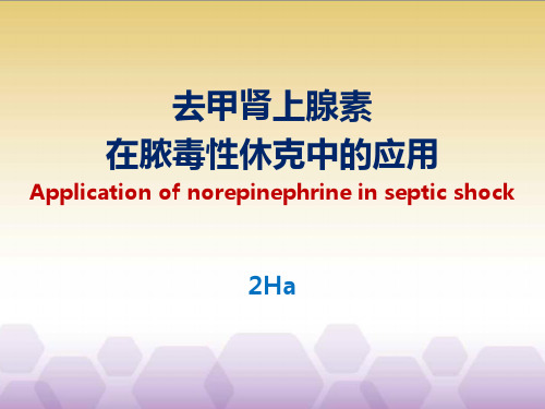sepsis shock(去甲肾上腺素在脓毒性休克中的应用)