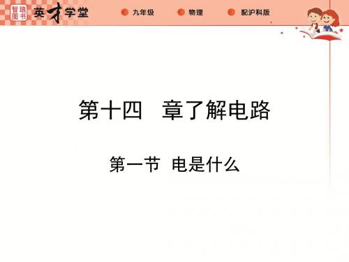 沪科版九年级物理全册课件：14.第一节  电是什么