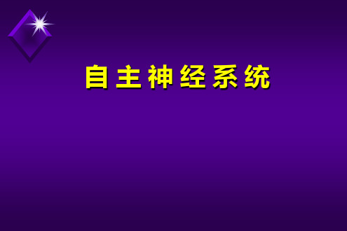 自主神经系统