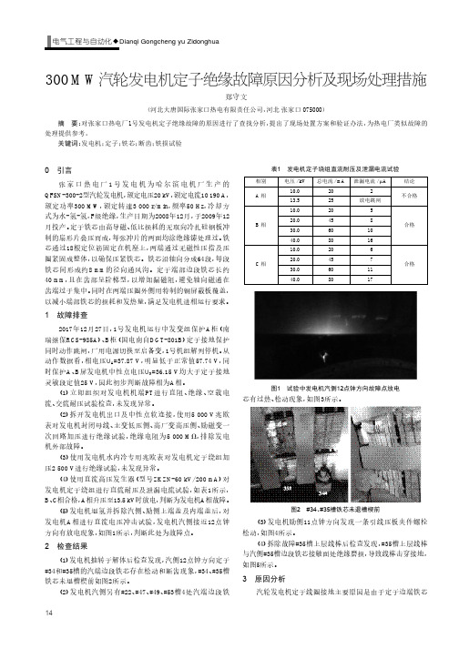 300MW汽轮发电机定子绝缘故障原因分析及现场处理措施