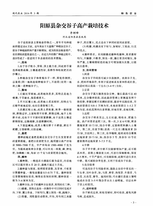 阳原县杂交谷子高产栽培技术