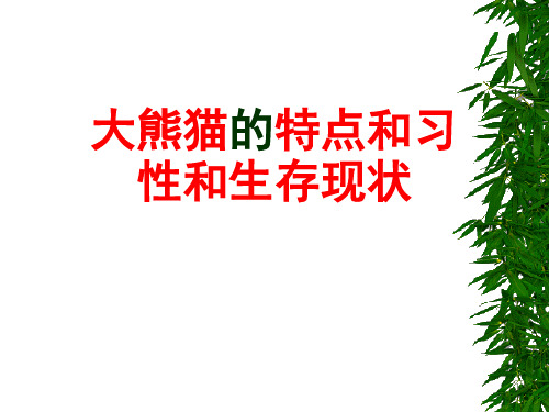 大熊猫的特点和习性和生存现状