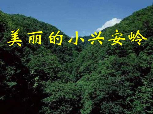 《美丽的小兴安岭2》PPT课件