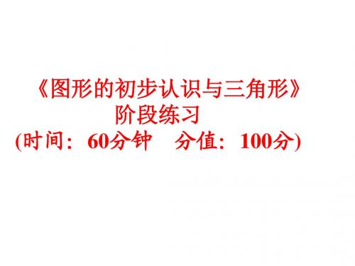 2017人教版中考数学复习课件《图形的初步认识与三角形》阶段练习