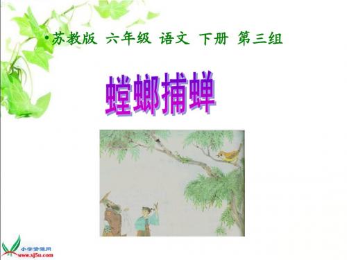 《螳螂捕蝉》PPT课件之一(苏教版六年级语文下册课件)