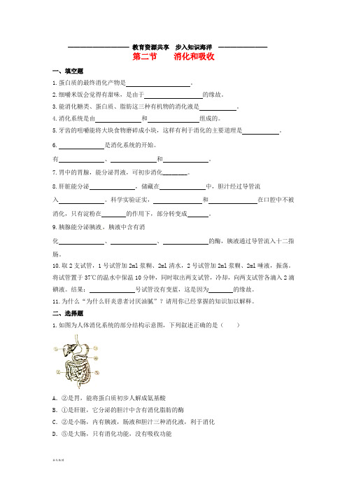     七年级生物下册 4.2.2《消化和吸收》同步练习 (新版)新人教版