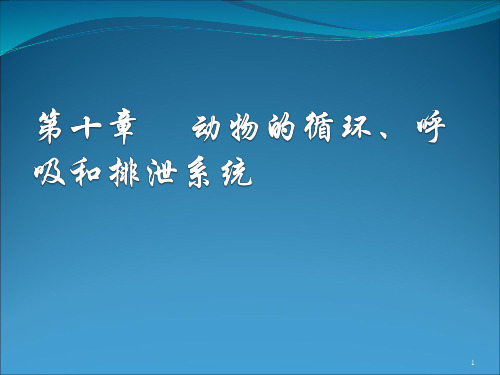 第十章 动物的循环、呼吸和排泄系统