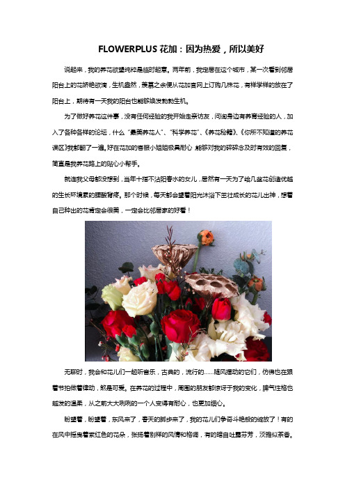 FLOWERPLUS花加：因为热爱,所以美好