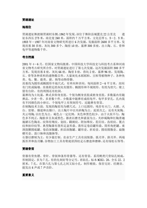 贾湖遗址资料