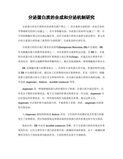分泌蛋白质的合成和分泌机制研究