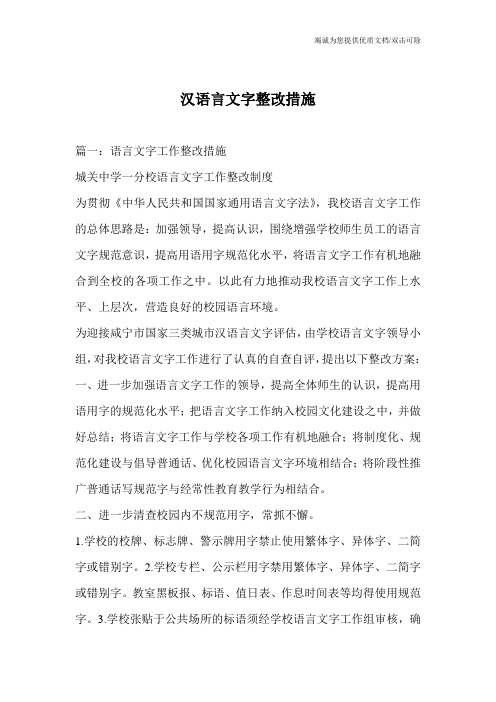 汉语言文字整改措施