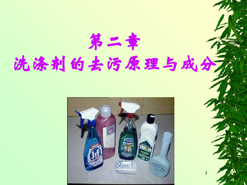 洗涤剂的去污原理与成分PPT演示文稿