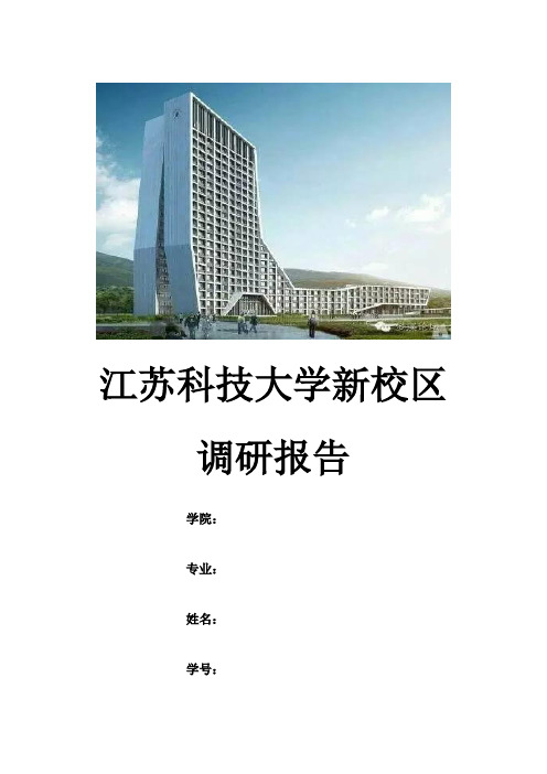 调研报告