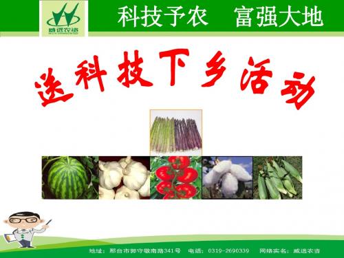 棉花病虫草害发生特点与防治技术最新20120713