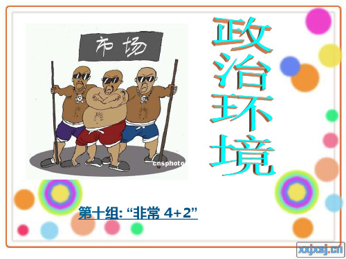 政治环境分析