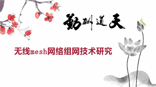 无线mesh网络组网技术研究