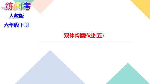 【课时作业练习题】部编版六年级语文下册 第五单元 双休阅读作业(五)