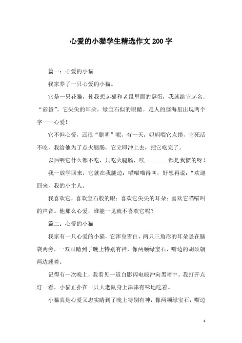 心爱的小猫学生精选作文200字