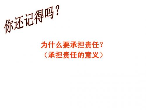 1.2 第三框 让社会投给我赞成票 课件(鲁教版九年级全)