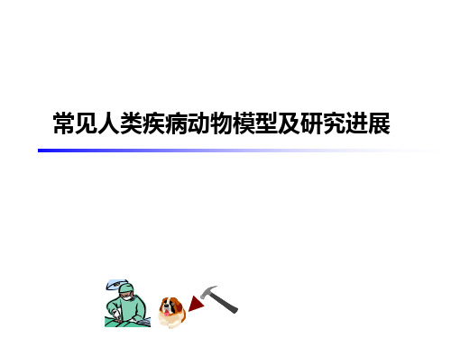 常见人类疾病动物模型及研究进展.pptx