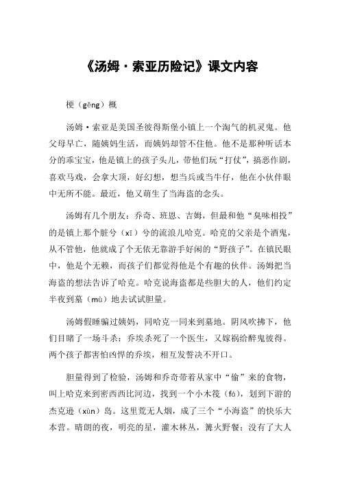 《汤姆·索亚历险记》课文内容