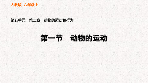 人教版八年级生物上册复习课件第五单元第二章动物的运动和行为
