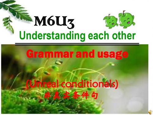 M6U3Grammar 虚拟语气