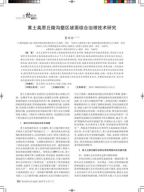 黄土高原丘陵沟壑区坡面综合治理技术研究