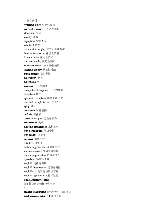 病理学全部中英文索引