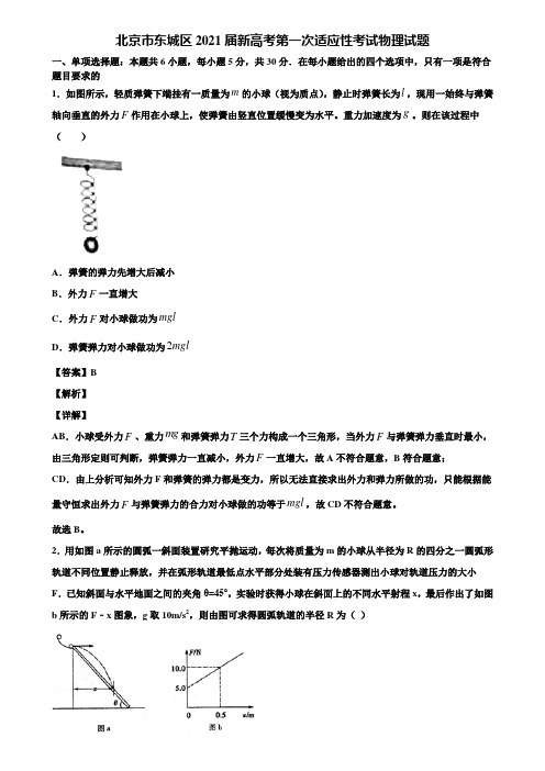 北京市东城区2021届新高考第一次适应性考试物理试题含解析