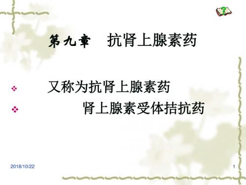 第9章  抗肾上腺素药 PPT课件
