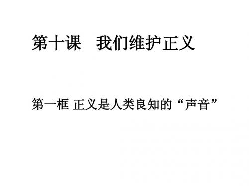 八年级下册思想品德人教版课件    第十课 我们维护正义