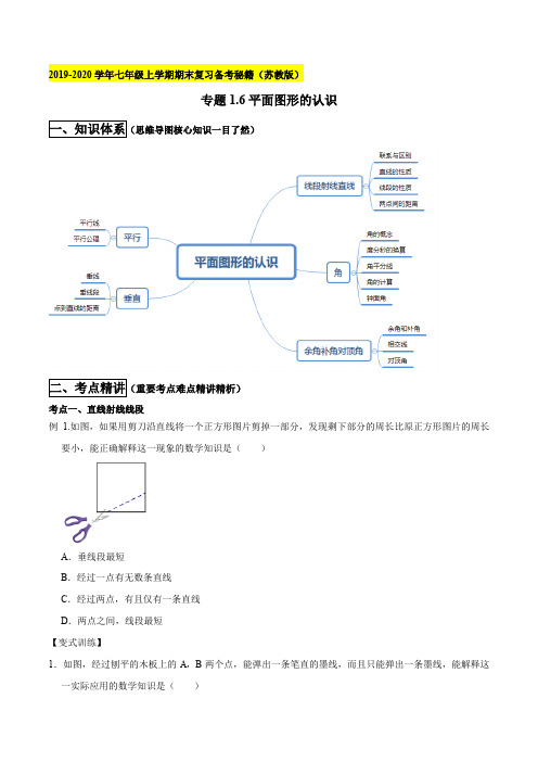 2019-2020学年上学期七年级数学期末复习备考秘籍(苏科版)之专题1.6 平面图形的认识(原卷版)