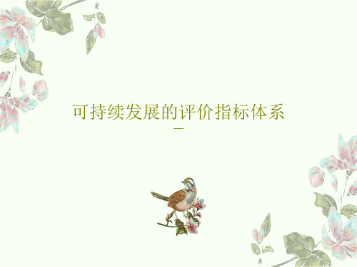 可持续发展的评价指标体系共46页文档