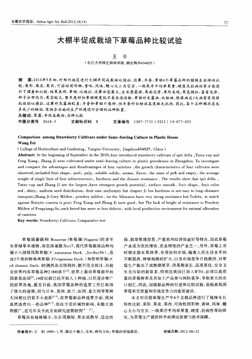 大棚半促成栽培下草莓品种比较试验