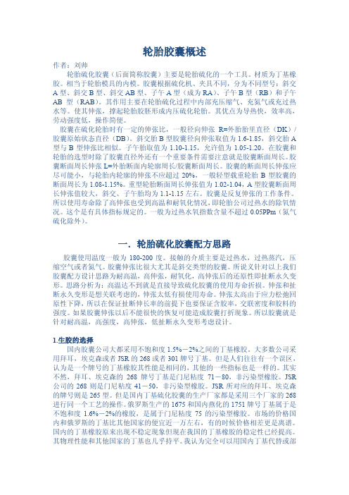轮胎胶囊概述