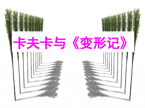 卡夫卡与《变形记》