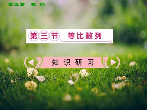 【把握高考】高三数学最新专题课件 第五章 5.3《等比数列》人教版必修